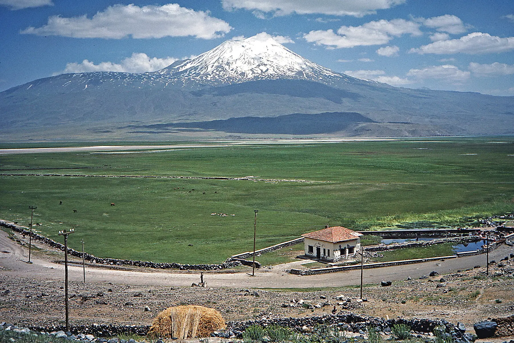 Ağrı
