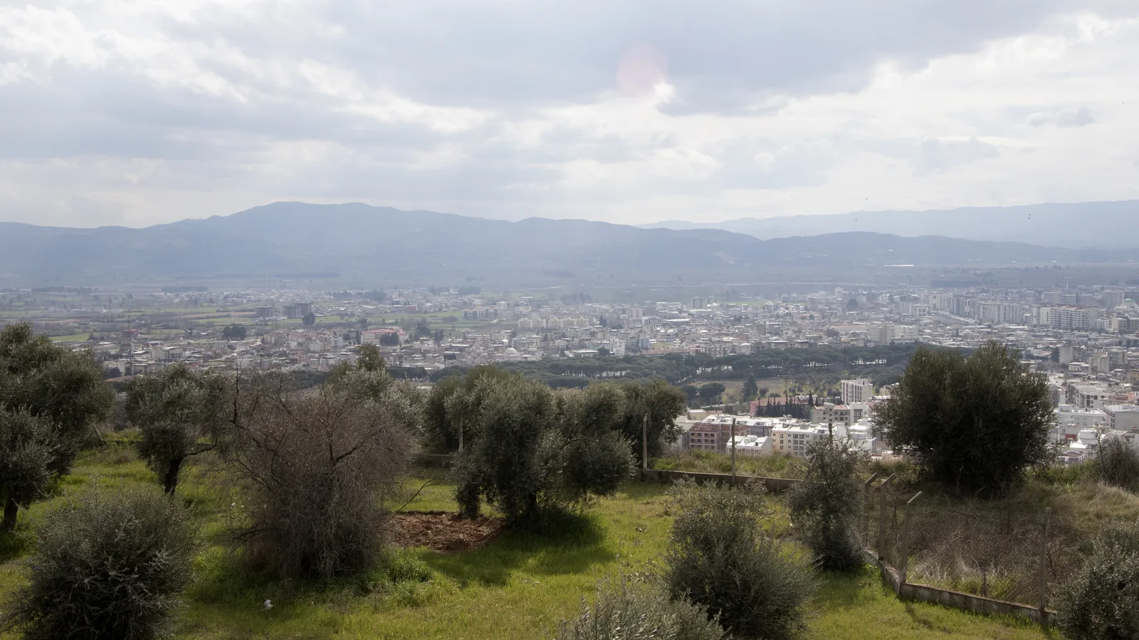 Aydın