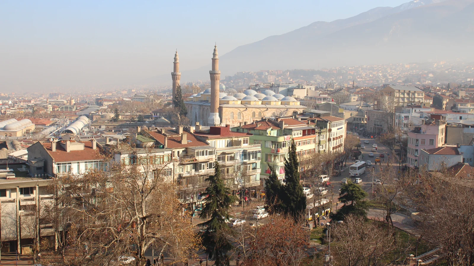 Bursa