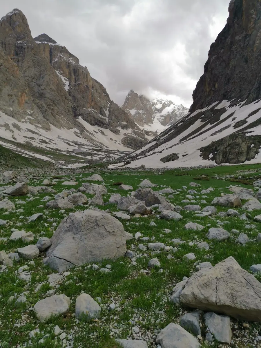 Hakkâri