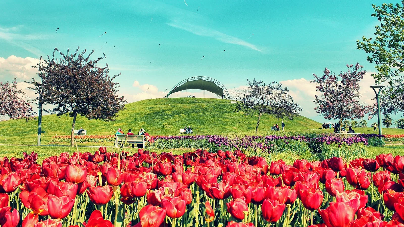 Kocaeli