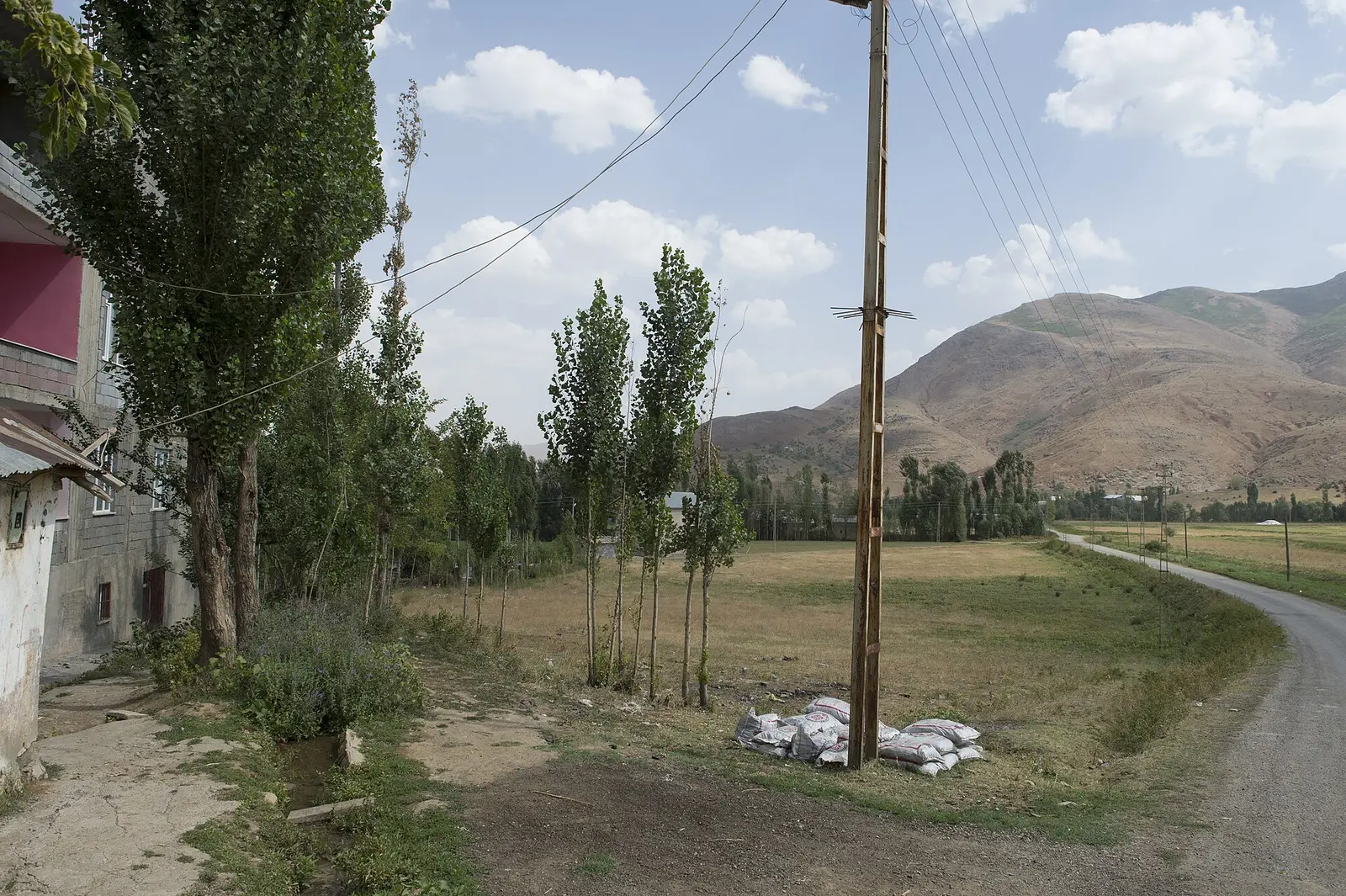 Muş