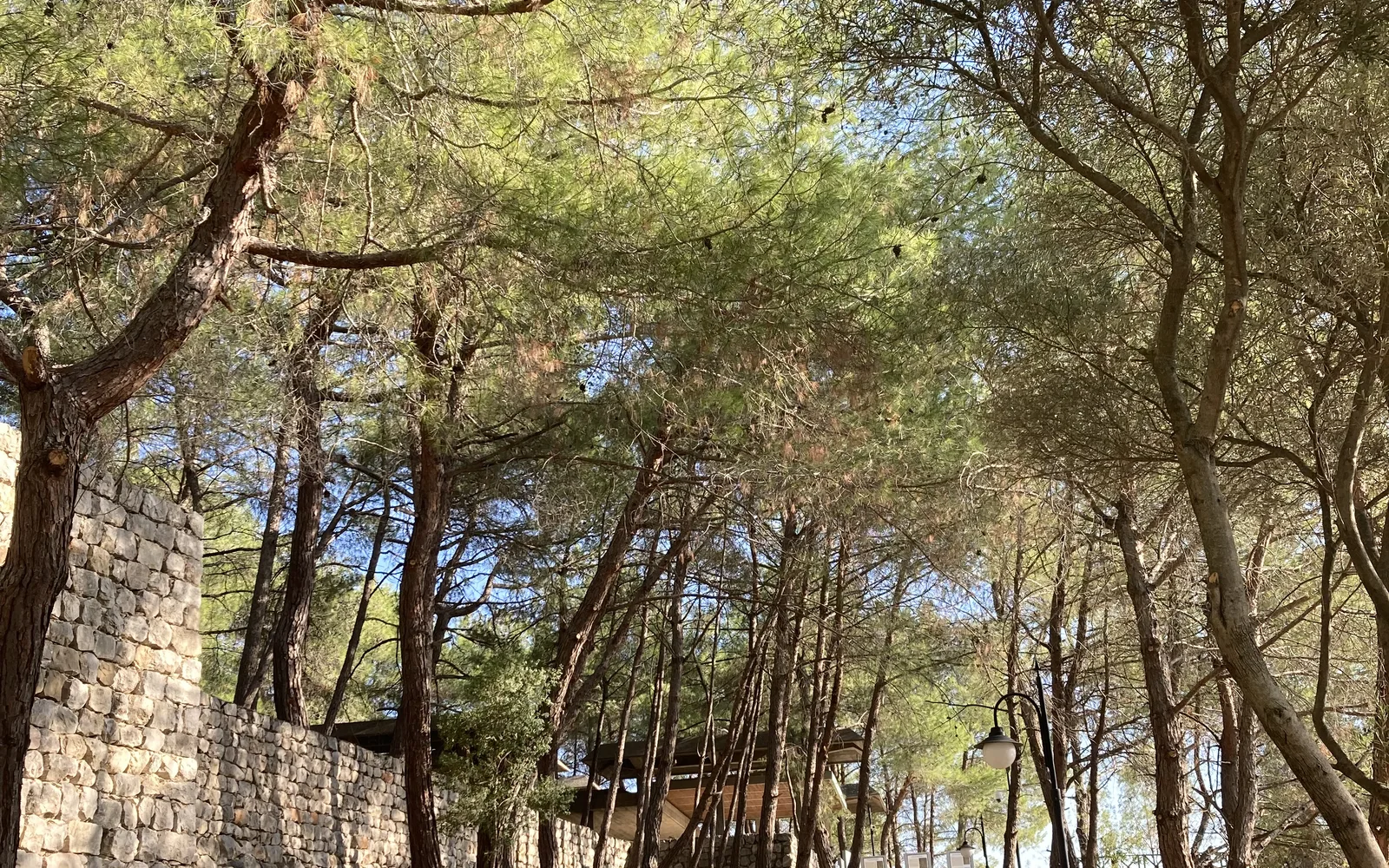 Osmaniye Gezilecek Yerler: Haritalı 30+ Durak, Kaleler, Yaylalar ve Doğa Rotaları